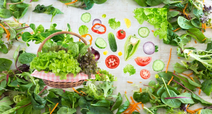 Salad Vegetable Importer in Dubai