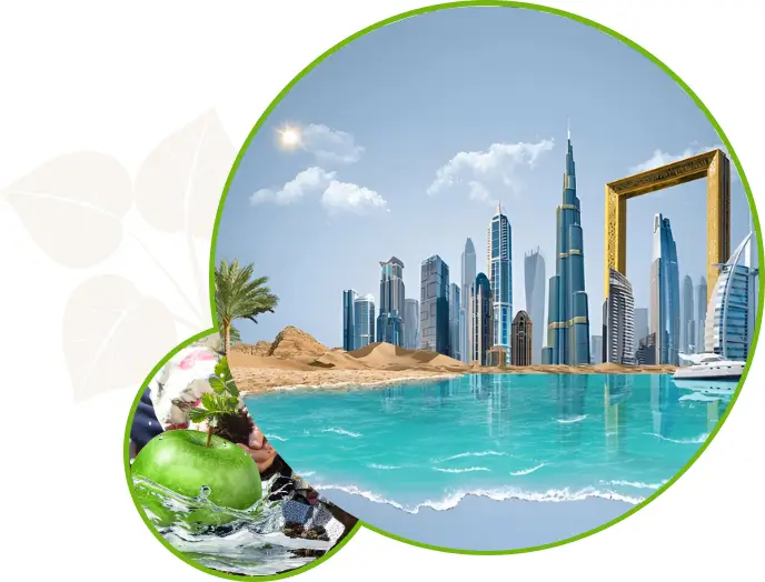 About Euto General Trading LLC