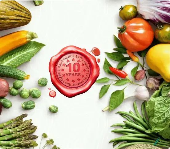 Euto Food Trading Dubai