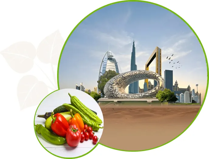 Euto General Trading LLC - Fresh Fruit and Vegetable Warehouse