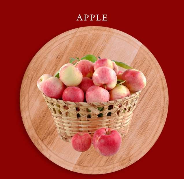 Apple Supplier in Dubai