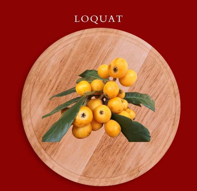 Loquat Supplier in Dubai