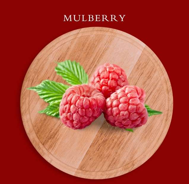 Mulberry Trader in UAE