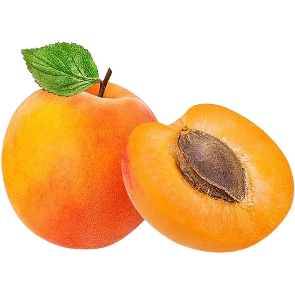 apricot-dubai-uae