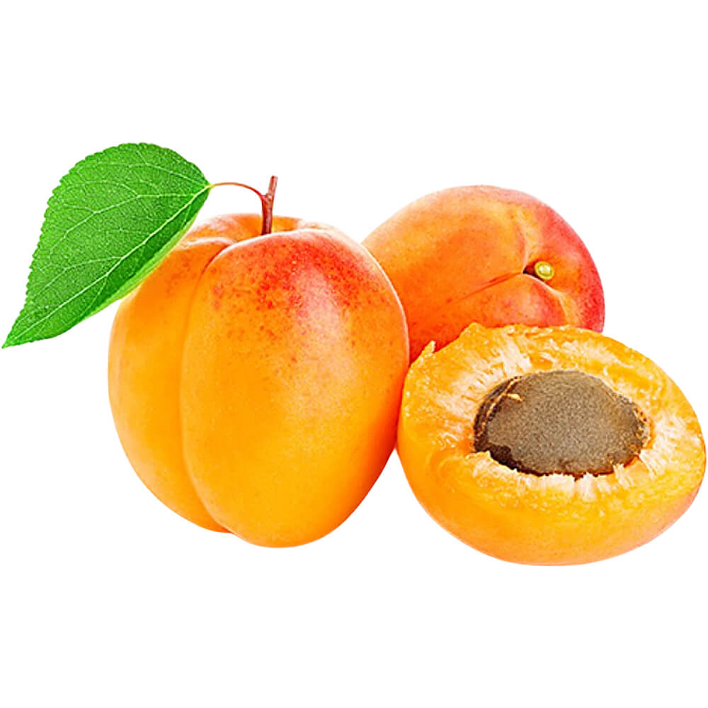 Apricot Importer and Distributor in Dubai UAE