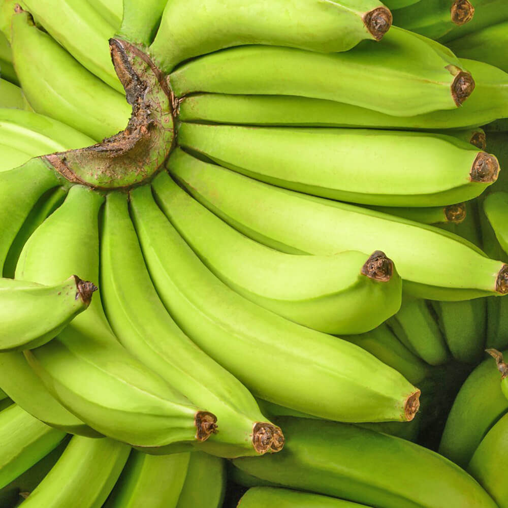 Fresh Pakistani Green Banana Supplier UAE
