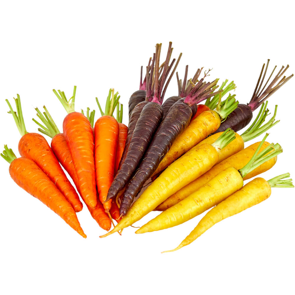 Fresh Baby Rainbow Carrots Importer and Supplier in Dubai UAE