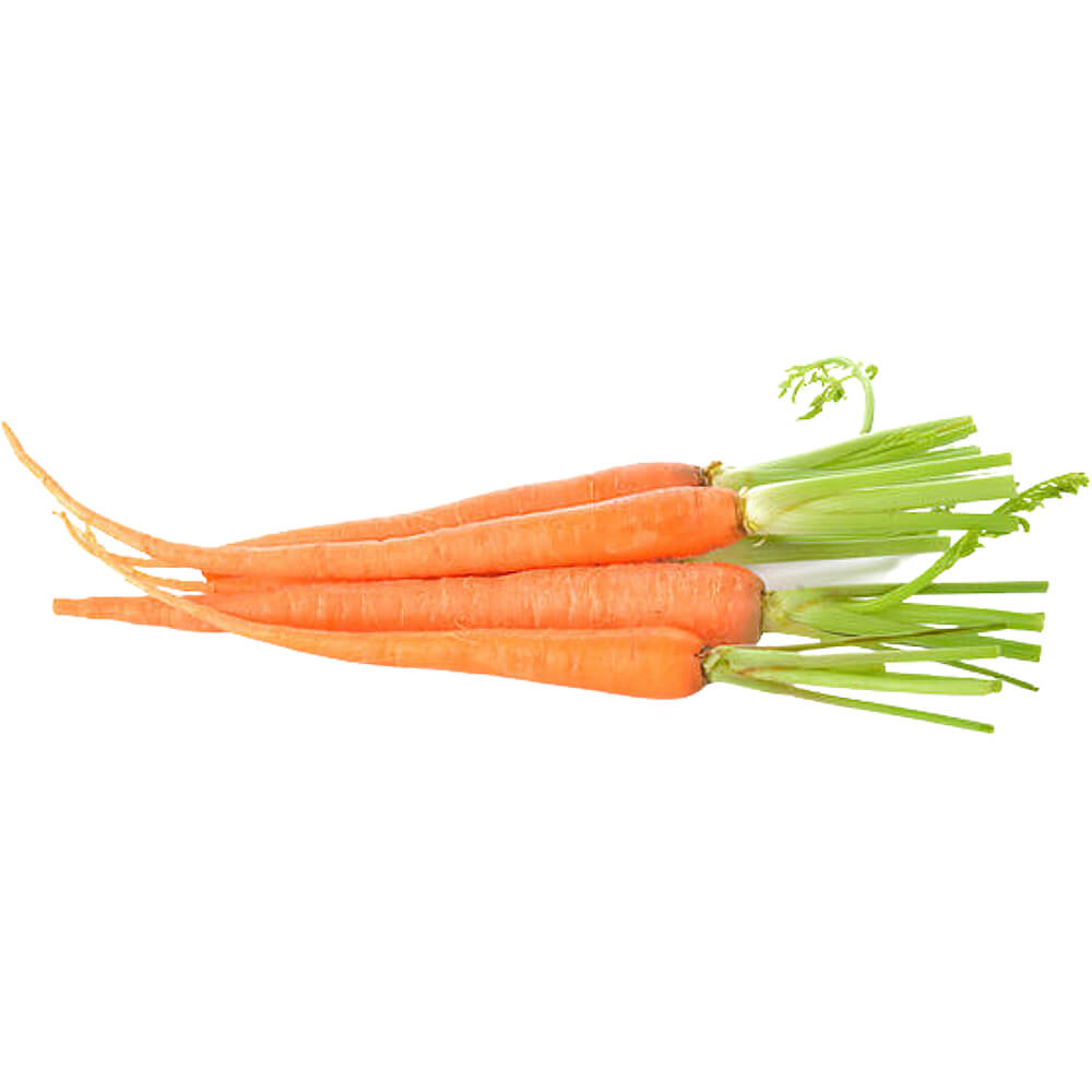 Premium South African Baby Carrots with Tops Dubai