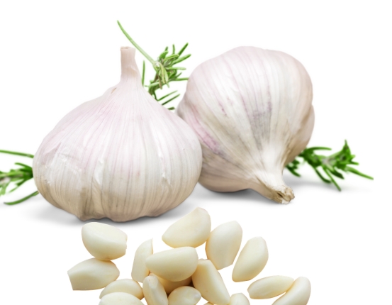 Premium Garlic Importer and Wholesale Supplier in Dubai UAE