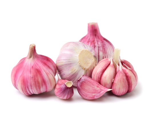 Premium Fresh Garlic Wholesale Dubai