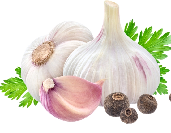 Bulk Indian Garlic Wholesale UAE