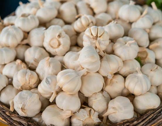 Indian Garlic Supplier in Dubai