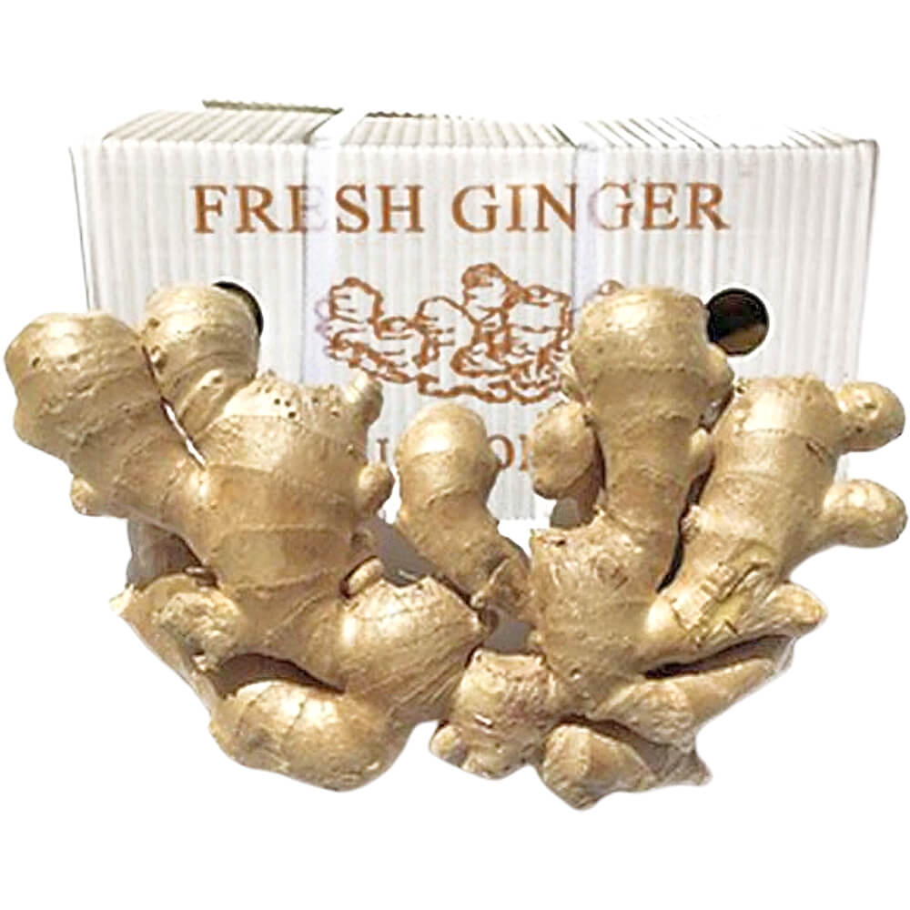 Bulk China Ginger Box Supply Dubai