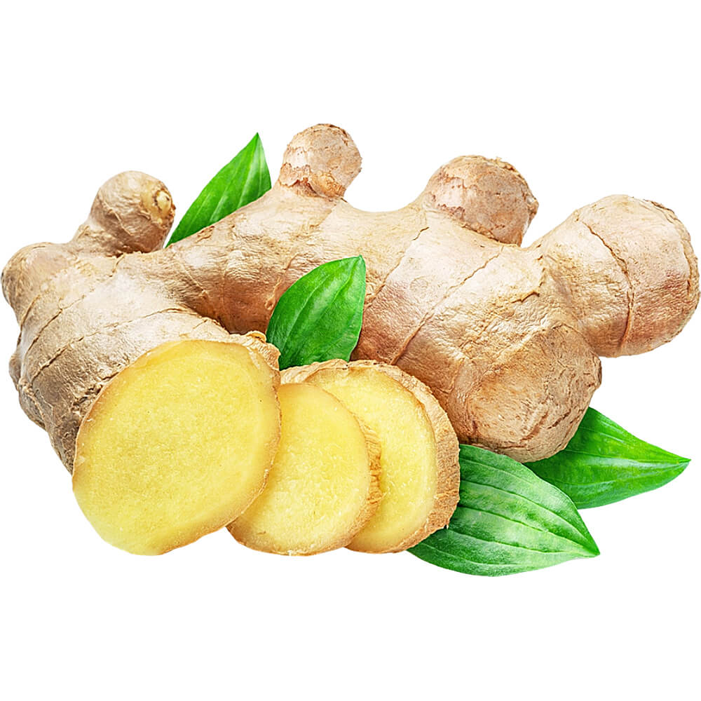 Fresh Sanitized Ginger Importer and Supplier in Dubai UAE
