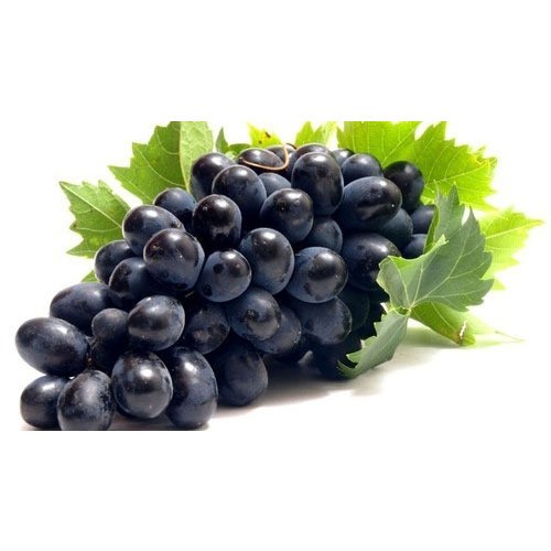 Fresh Black Seedless Grapes Importer Dubai