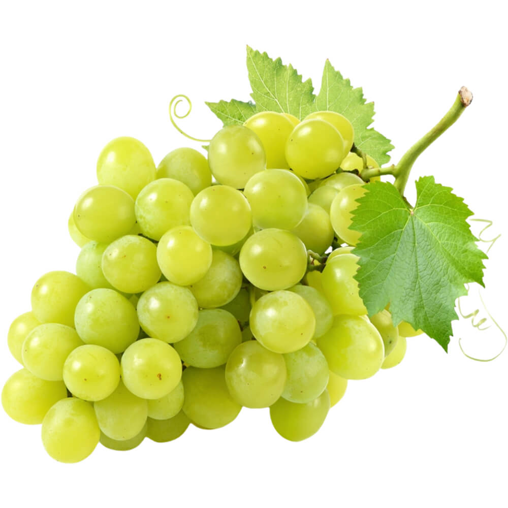 Premium Green Grapes Wholesale UAE