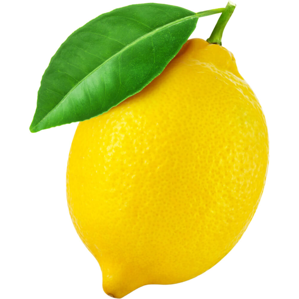 Premium Dubai Lemon Supply