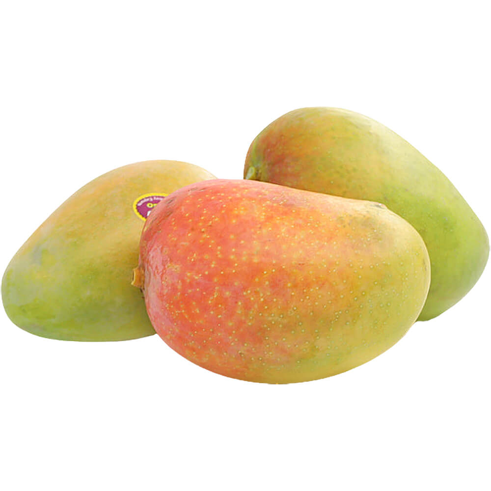 Fresh Kesar Mango Distributor in UAE
