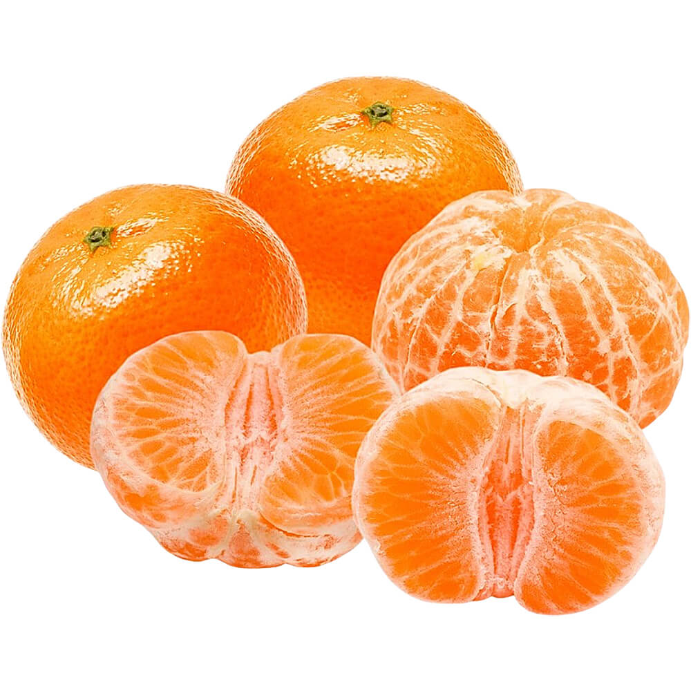 Pakistani Mandarin Kinnow Orange Wholesale UAE