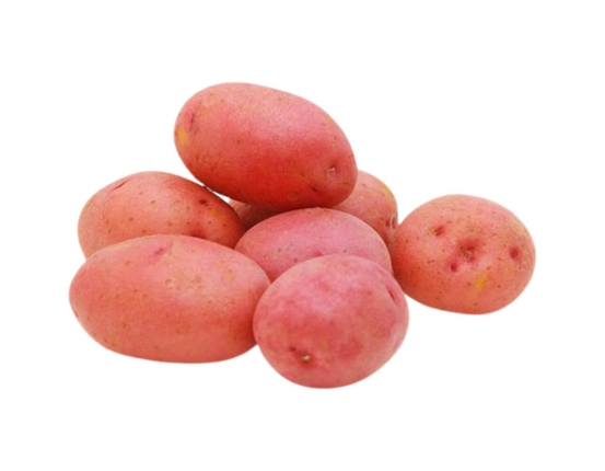 Premium Red Holland Potato Importer and Supplier in Dubai UAE