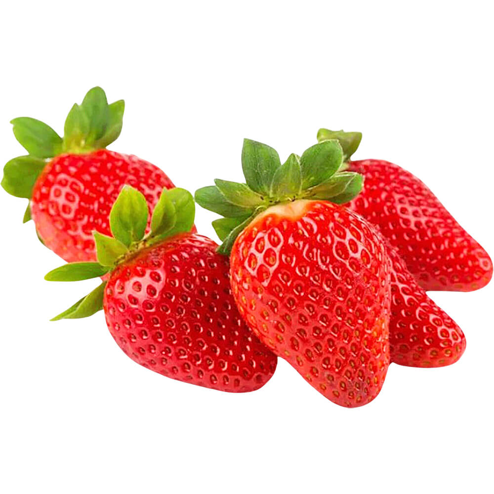 South African Strawberry Export Quality Dubai
