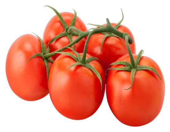 Premium Plum Tomatoes Importer and Supplier in Dubai UAE