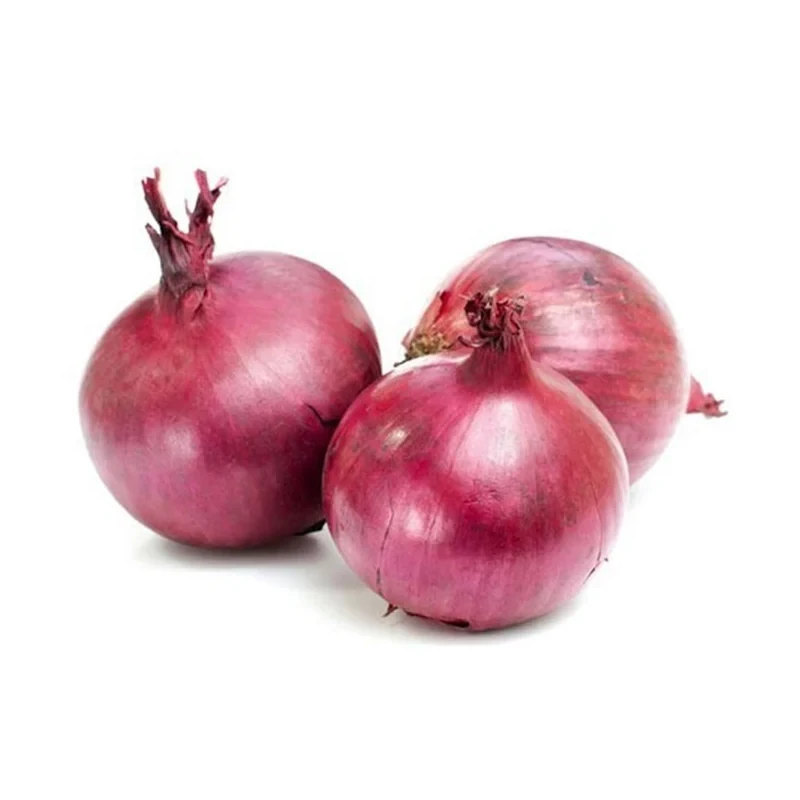 Red Onion Importer Dubai