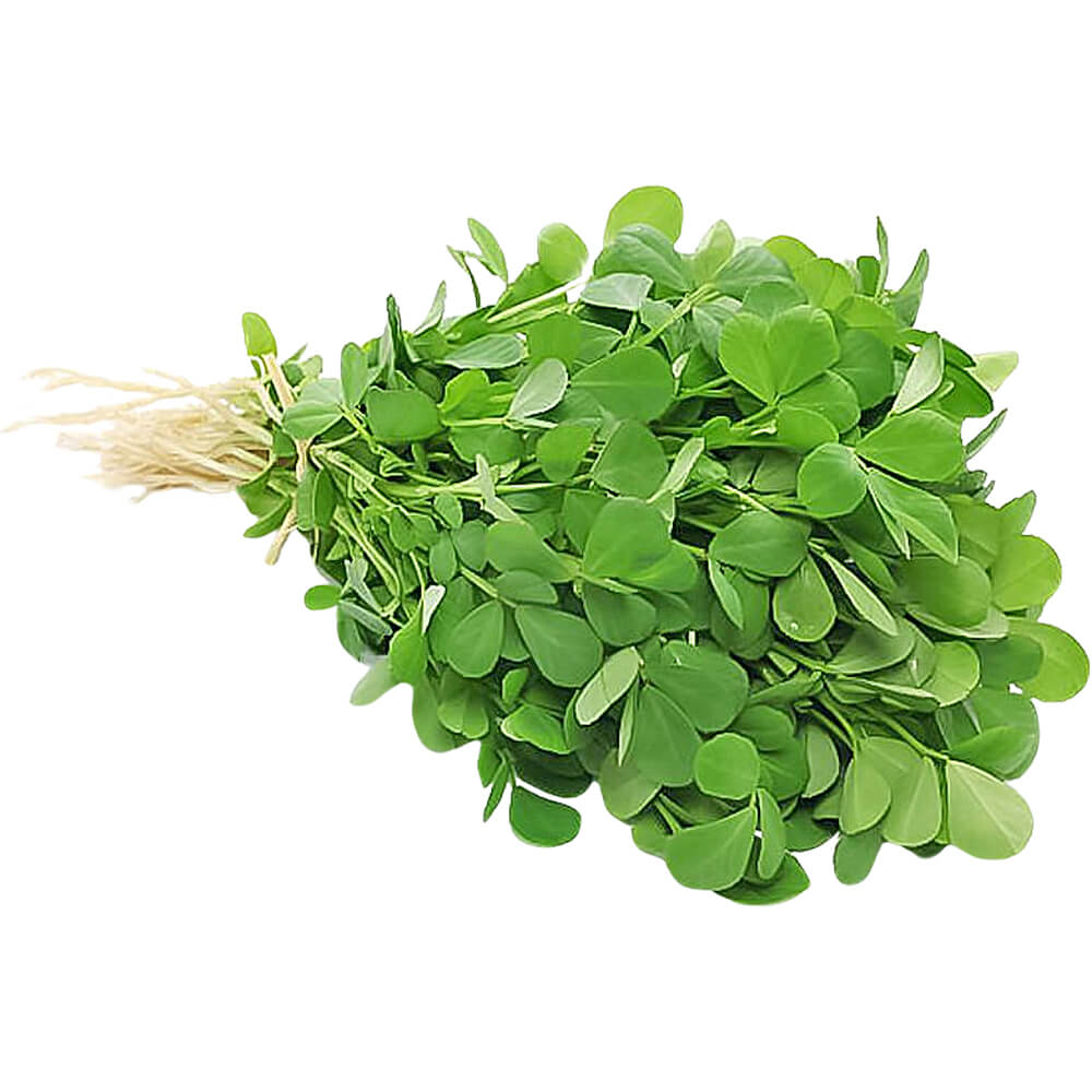 fenugreek meethi dubai uae