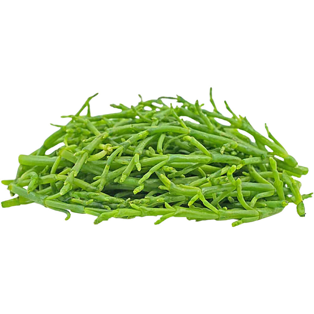 sea-asparagus-netherlands-dubai-uae