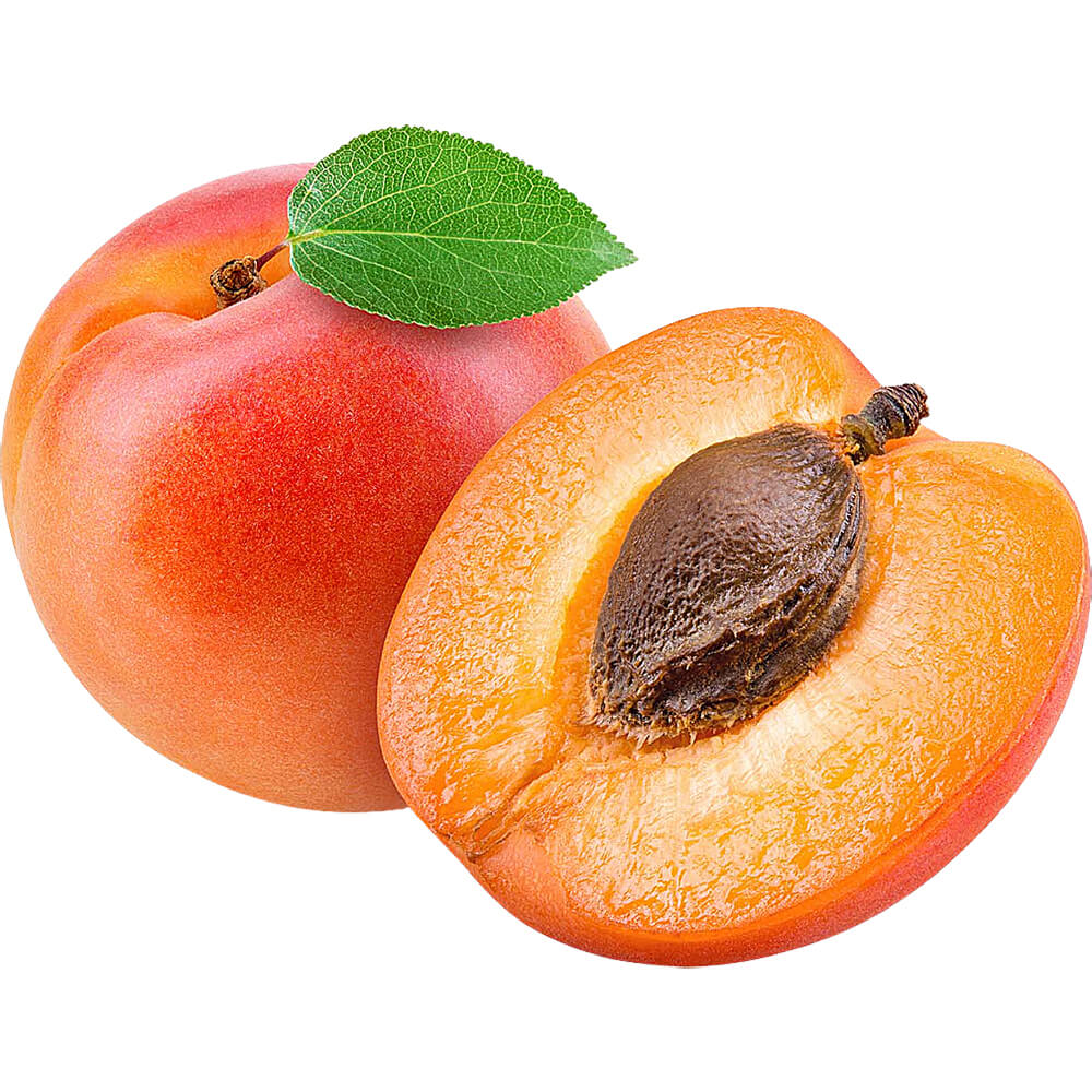 Wholesale Apricot Bulk Supply