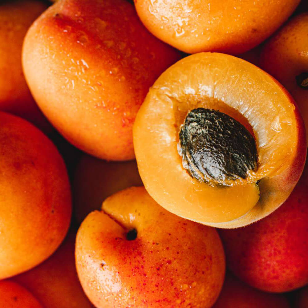 Premium Apricot Export Dubai