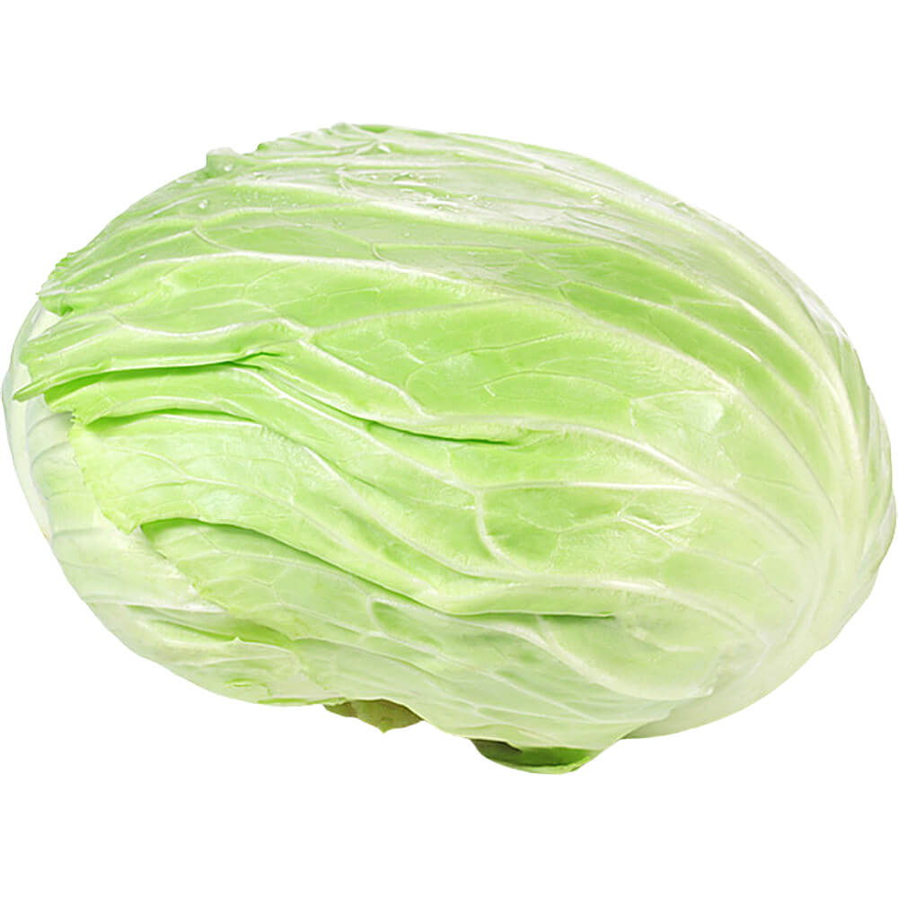 Jordanian Flat Cabbage Export