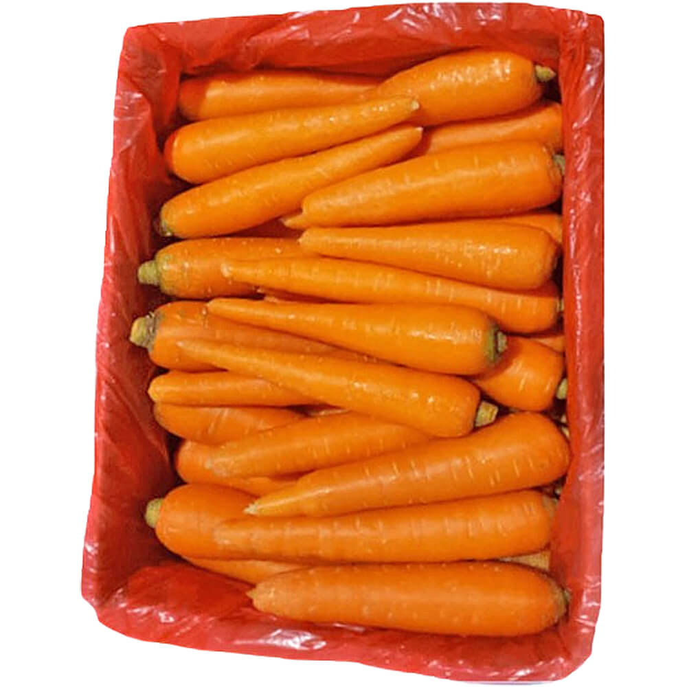 Wholesale Carrot Bulk Supply