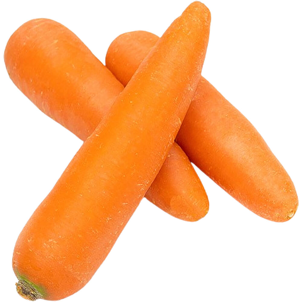 Fresh China Carrot Import