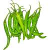 Indian Green Chilli Market