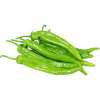 Long Green Chilli Supply