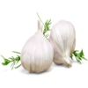 China Garlic Import Dubai