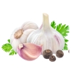 Bulk Garlic Supply UAE