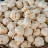 Indian Garlic Market Dubai