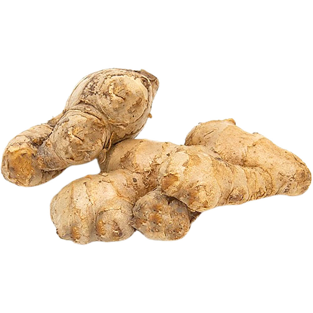 Indian Ginger Supply UAE