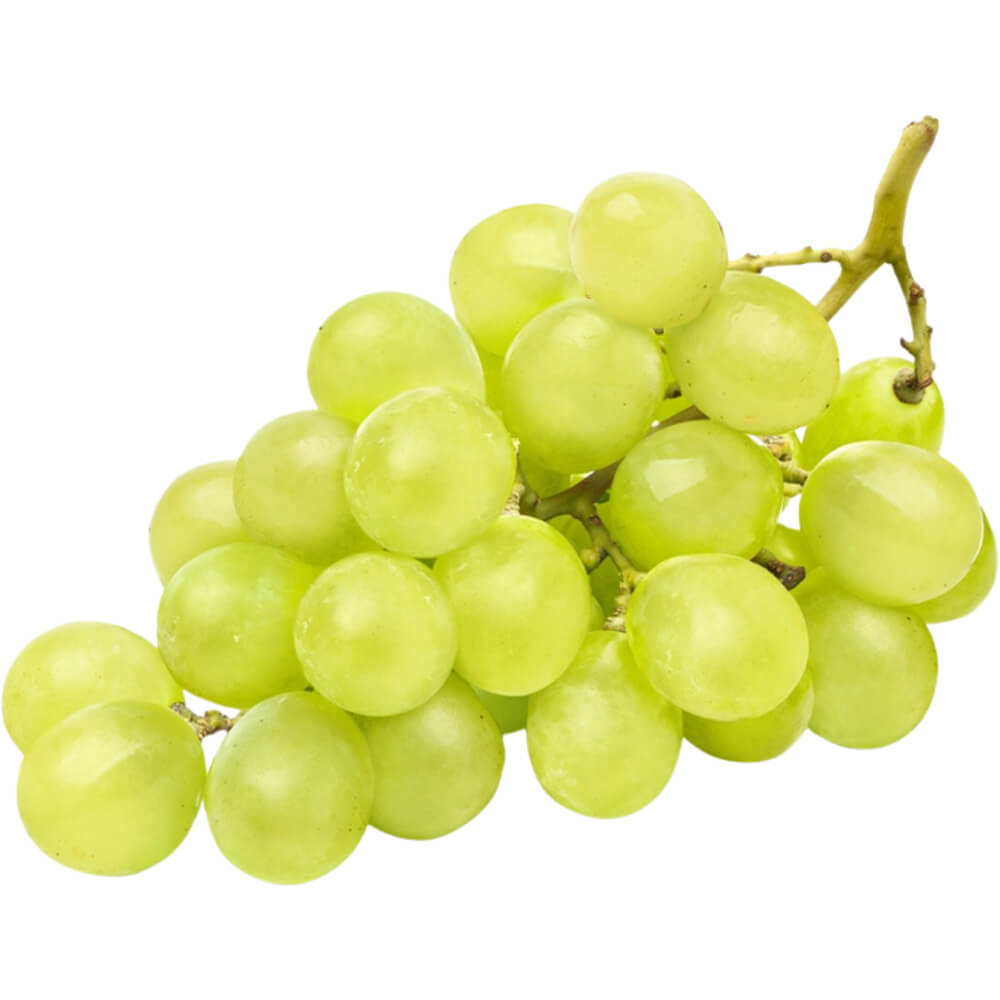 Green Seedless Grapes Supply