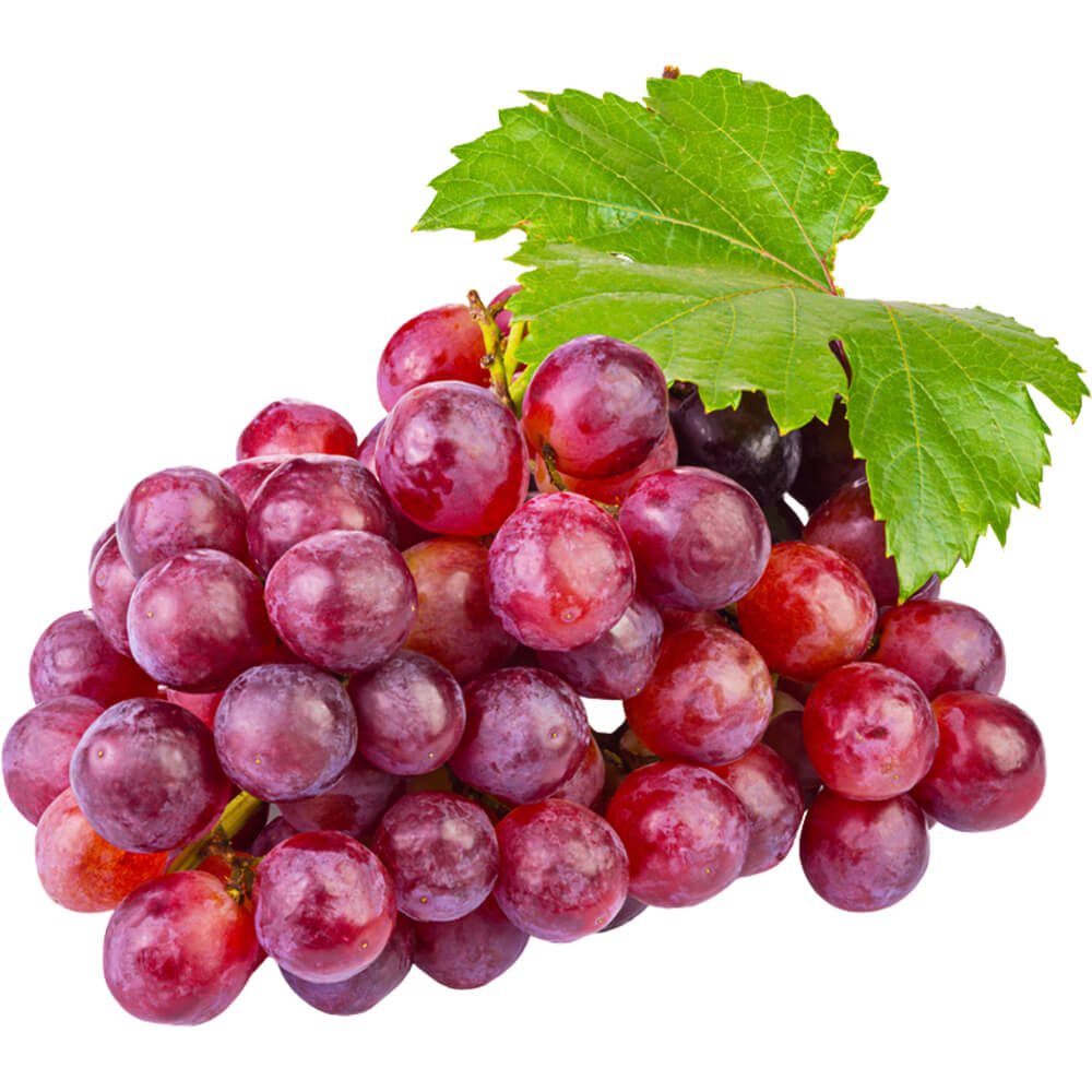 Red Seedless Grapes Wholesale