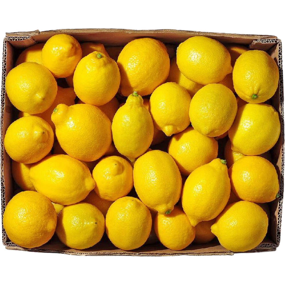 Lemon Box Supply