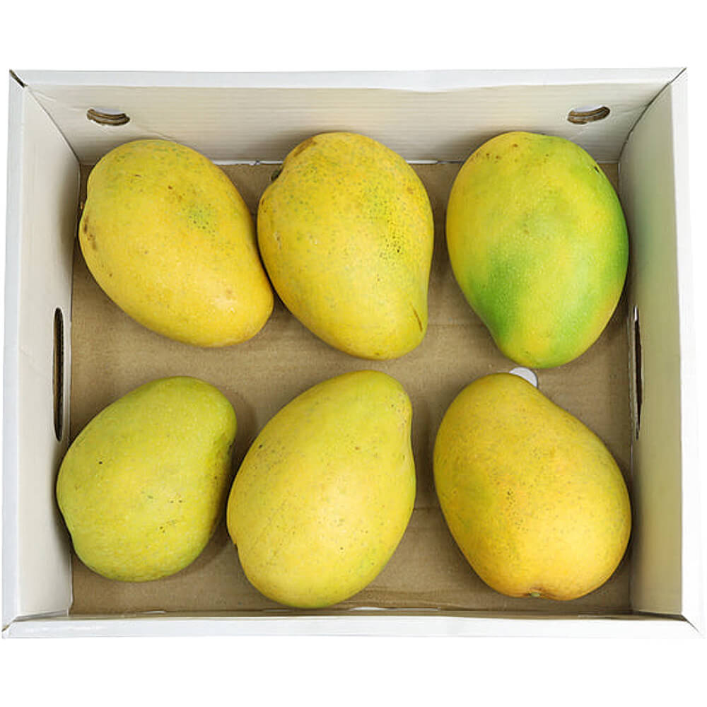Badami Mango Wholesale UAE