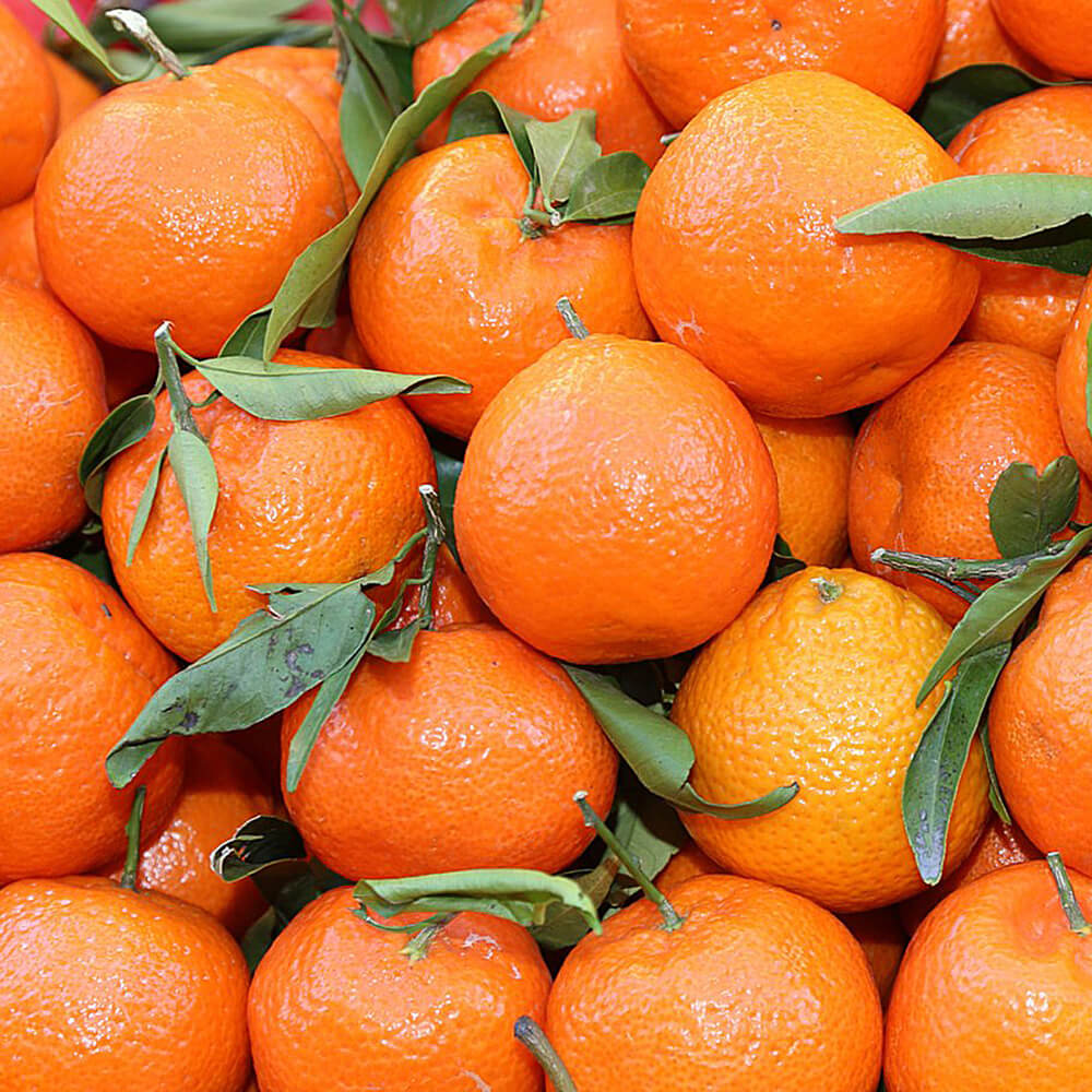 Fresh Mandarin Kinnow Dubai