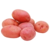 Red Holland Potato Fresh