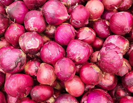 Bulk Red Onion Supply