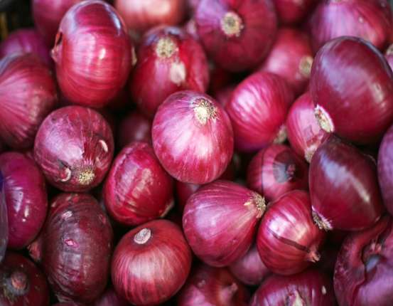 Premium Red Onion Export