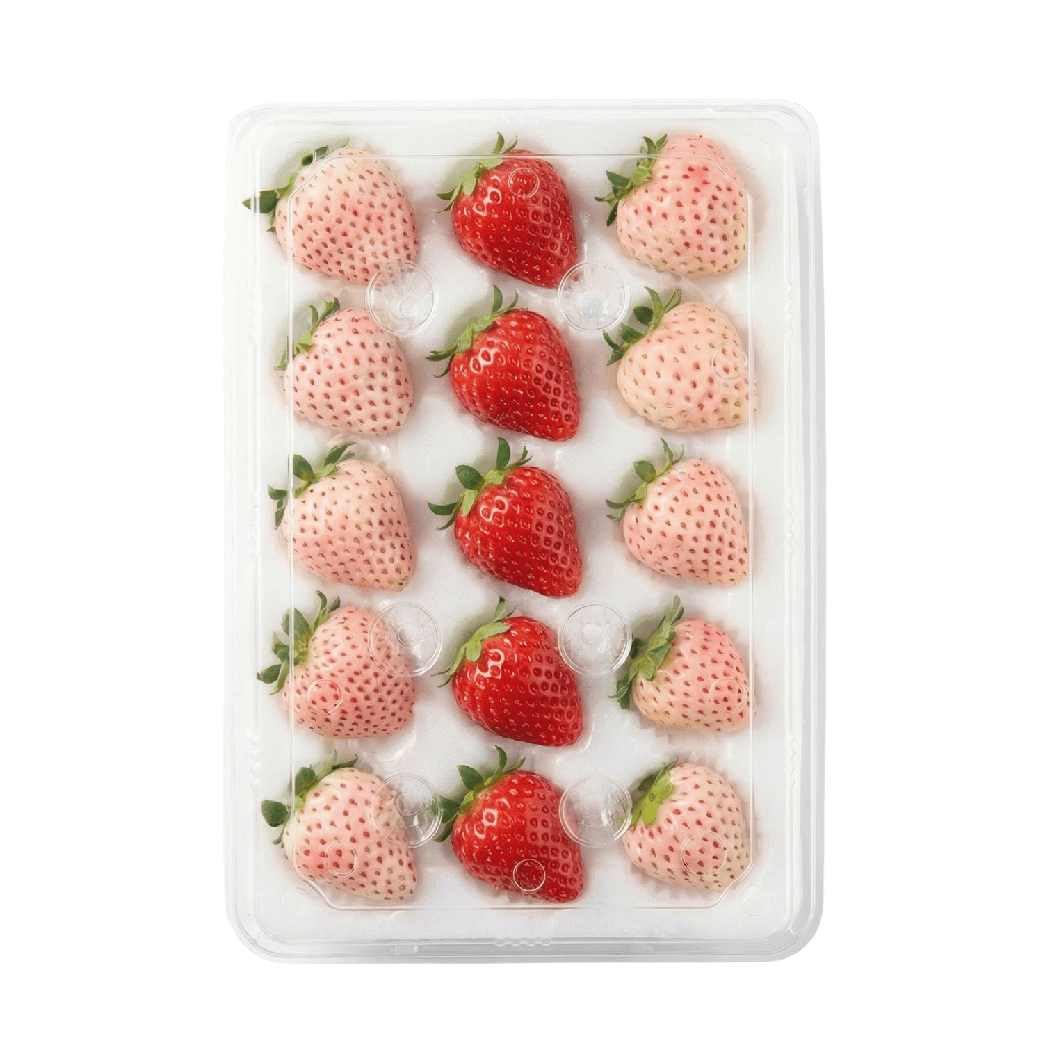 Japanese Premium Strawberry
