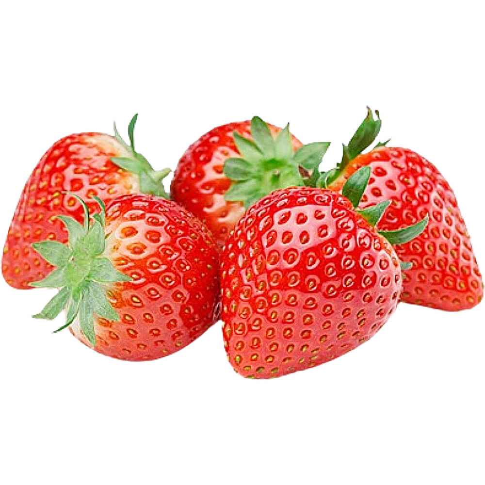 Egyptian Strawberry Fresh